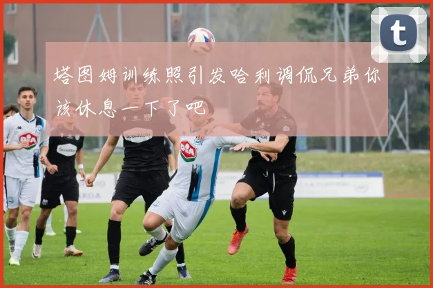 塔图姆训练照引发哈利调侃兄弟你该休息一下了吧